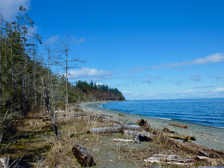 Fillongley Provincial Campground | Denman Island south of Courtenay | cycle touring Gulf Islands