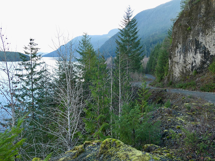 SW Sproat Lake, South Taylor Main