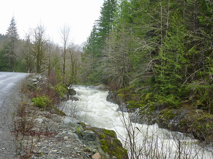Harris Creek along Pacific Rim Highway | Port Renfrw north to Cowichan Lake | cycle touring
