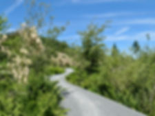 Sooke Hills Wilderness Trail | south Vancouver Island | cycle touring