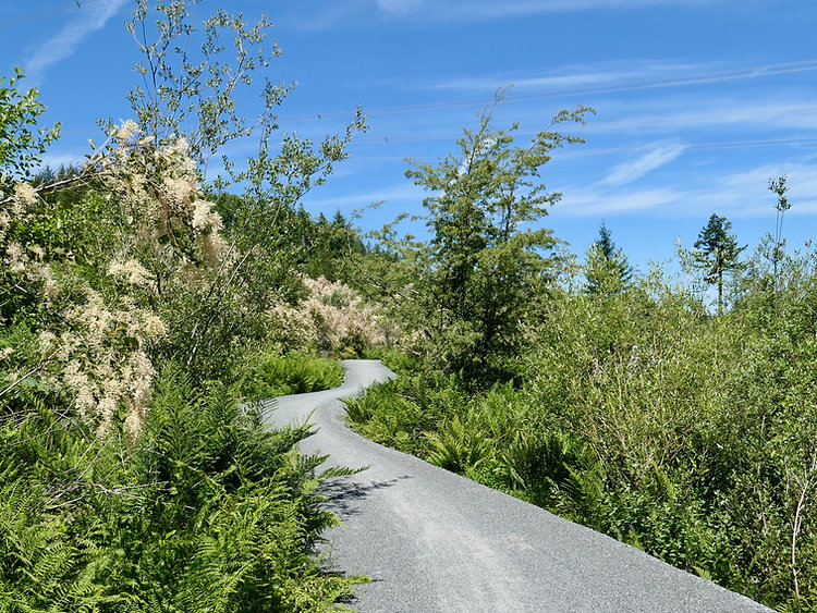 Sooke Hills Wilderness Trail | south Vancouver Island | cycle touring