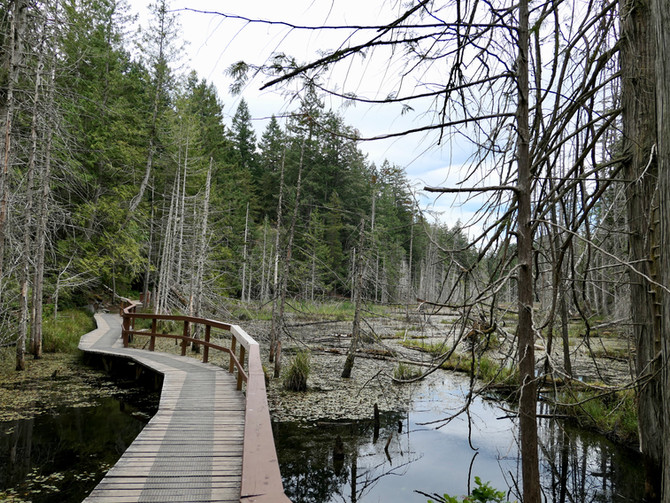 Hidden World of Smuggler Cove