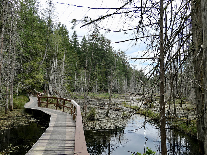 Smuggler Cove Provincial Park | trail in to Fav campground | bike touring Sunshine Coast