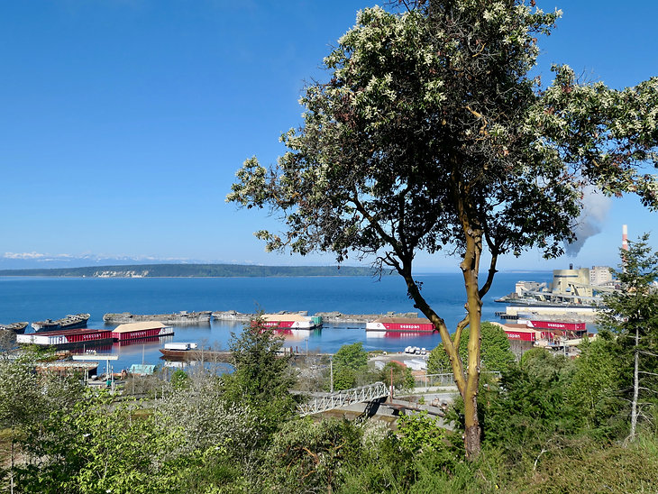 cycle touring north Sunshine Coast | Powell River mill | bikepacking Malaspina Peninsula