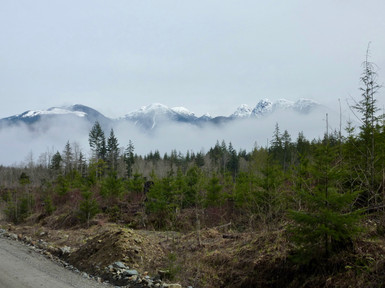 Salmon River Main