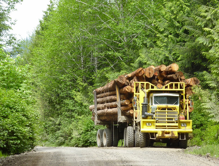 Logging truck near Grant Bay, bikepacking NW Vancouver Island