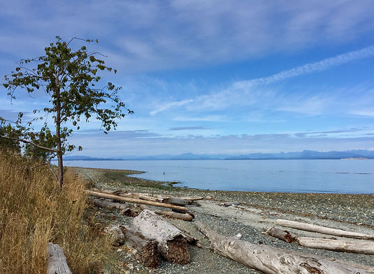 Miracle Beach Provincial Park | cycle touring Vancouver Island | cycling links