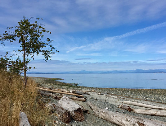 Miracle Beach Provincial Park | cycle touring Vancouver Island | cycling links