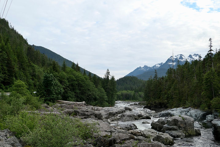 Pacific Rim Highway to Tofino | cycle touring Vancouver Island