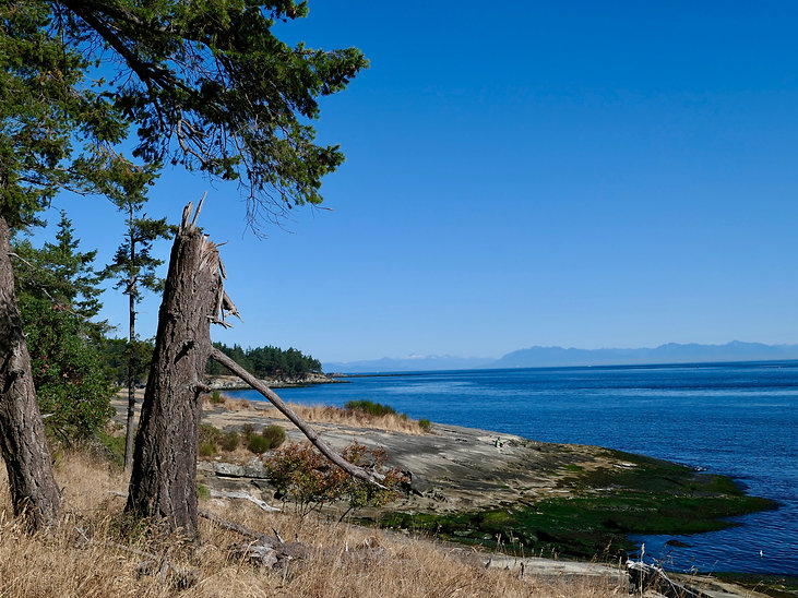 Bellhouse Provincial Park, Galiano Island | cycle touring south Gulf Islands