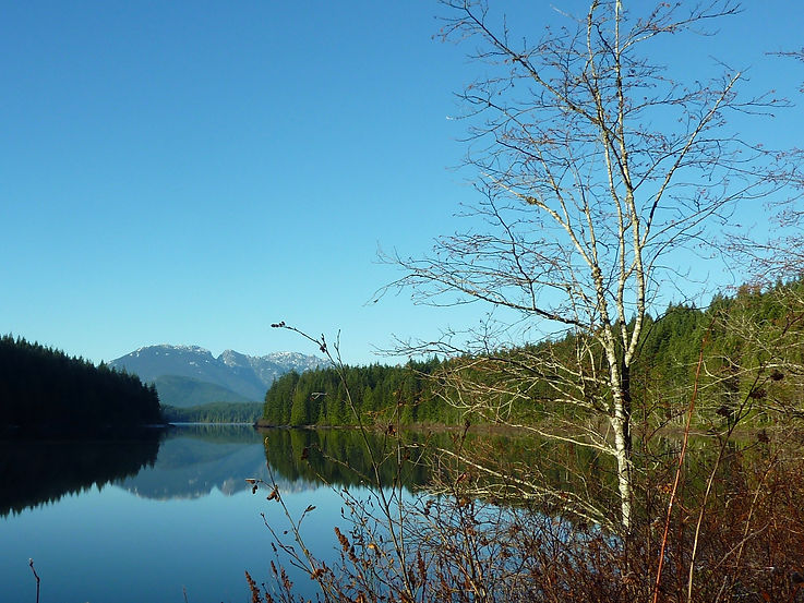 Stella Bay Rec Camp | NE of Roberts Lake | cycle touring Vancouver Island