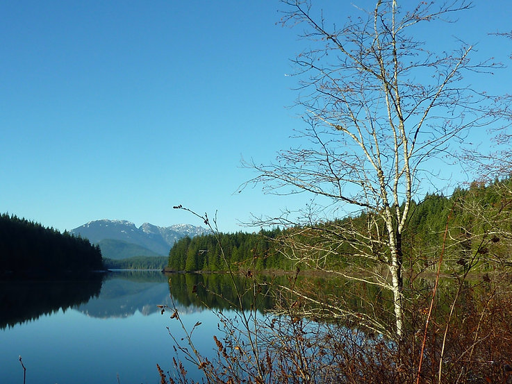 Stella Bay Rec Camp | NE of Roberts Lake | cycle touring Vancouver Island