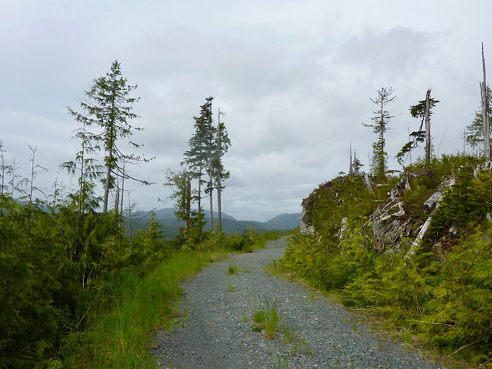 Pugh Main | behind Lake of the Mountains | bikepacking NW Vancouver Island