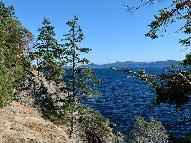 Shingle Beach Rec Camp | cycle touring Texada Island | fav campground