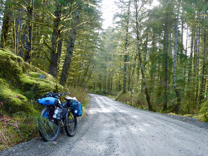 North to Sayward on the (snow free!) Backroads