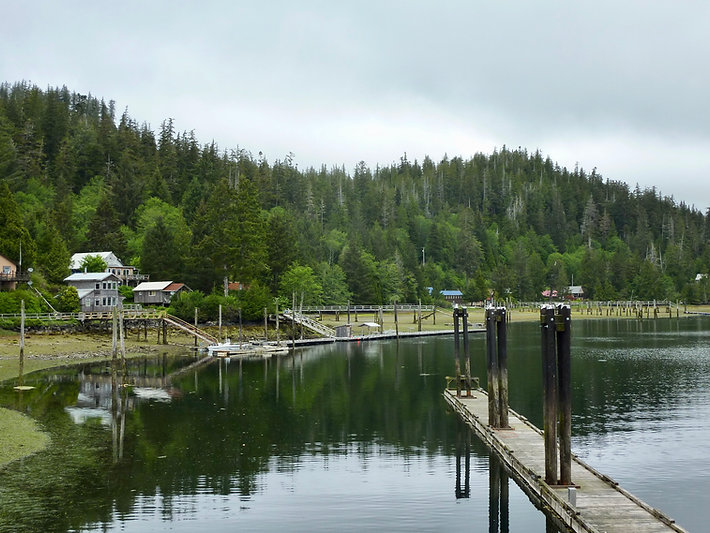 Winter Harbour marina | bikepacking NW Vancouver Island