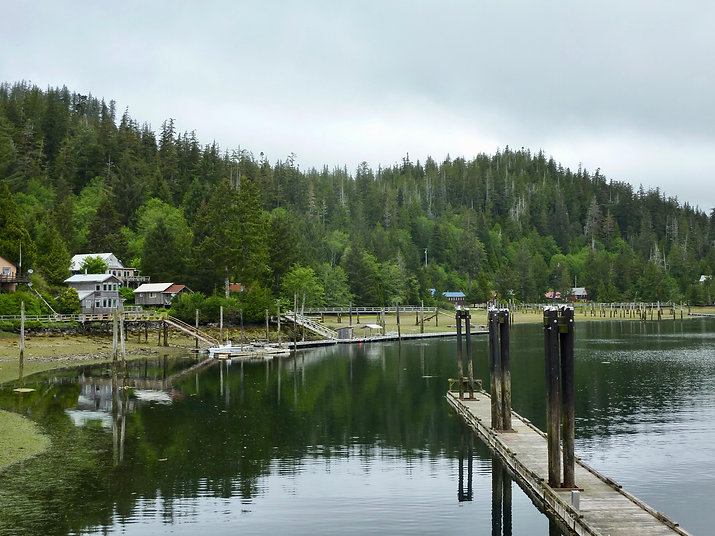 Winter Harbour docks & marina | bikepacking NW Vancouver Island