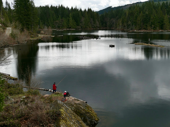 Fly fishing the Puntledge River | north Courtenay | cycle touring Vancouver Island