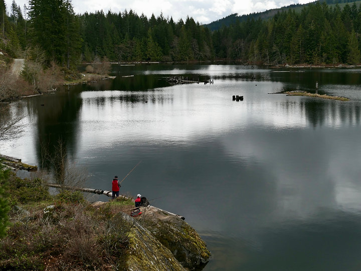 Fly fishing the Puntledge River | north Courtenay | cycle touring Vancouver Island
