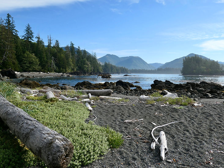 Side Bay Campground | bikepacking west from Port Alice | cycle touring north Vancouver Island