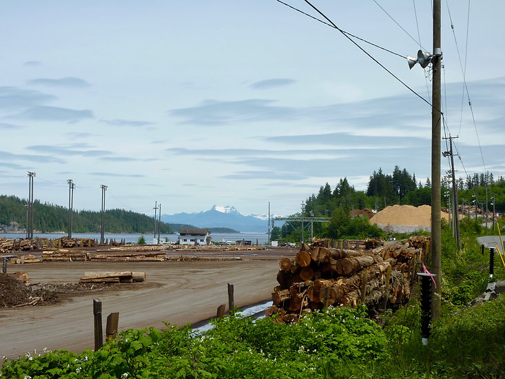 Beaver Cove log sort | near Telegraph Cove | cycle touring north Vancouver Island