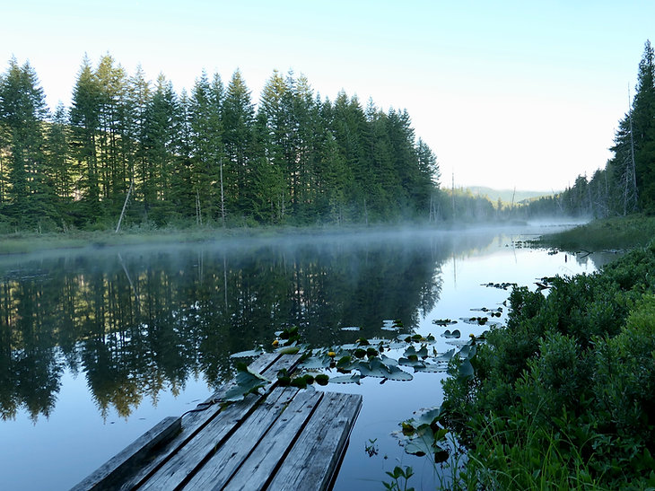 Long Lake Rec Camp | backroads south of Cowichan Lake | bikepacking south Vancouver Island