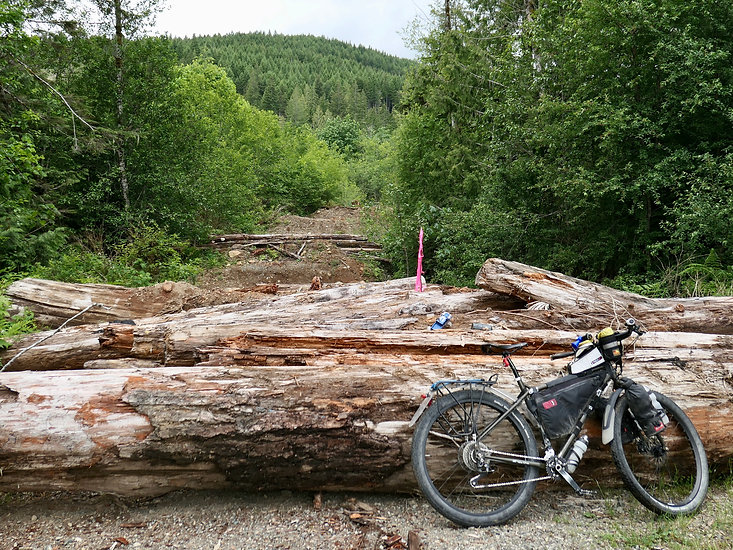 Bikepacking & decommissioned bridge | bikepacking backroads from Courtenay