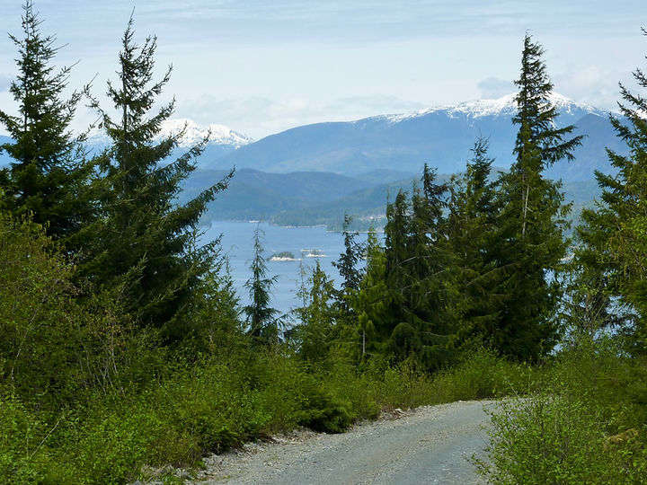 Naka Creek Rec Camp | backroad from Eve River log sort | bikepacking north Vancouver Island