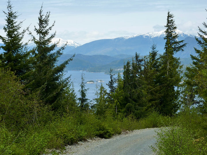 Naka Creek Rec Camp | backroad from Eve River log sort | bikepacking north Vancouver Island
