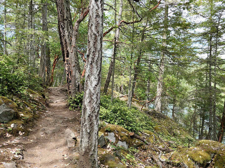 Trails at Smuggler Cove Park | fav campground | cycle touring Sunshine Coast