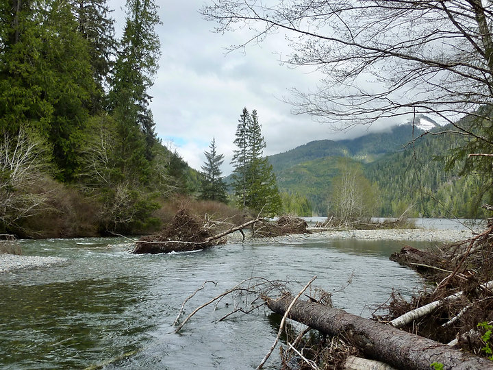 Benson River & Benson Lake | cycle tourig north Vancouver Island | Alice Lake Loop | bikepacking