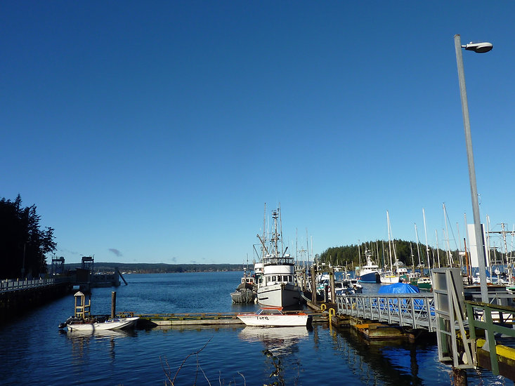 Quatiaski ferry terminal | Quadra & Cortes Islands | cycle touring Vancouver Island