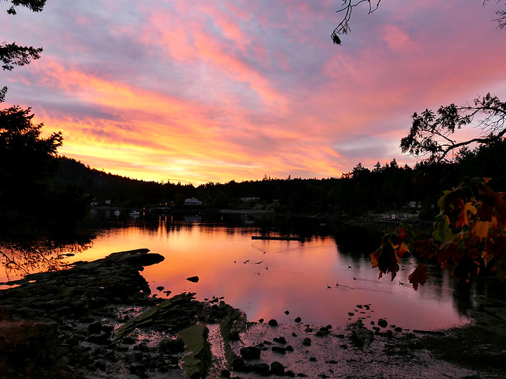 Views from Mayne Island Campground | Seal Bay, Miners Bay | cycle touring south Gulf Islands