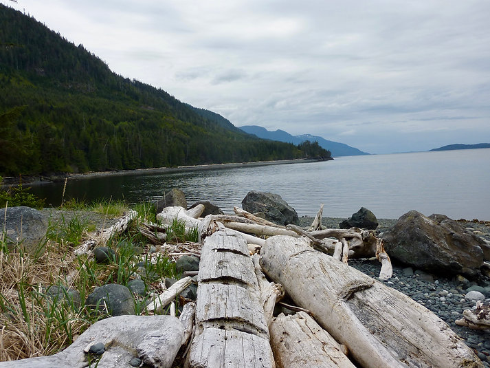Naka Creek Rec Camp | beach along Johnstone Strait | bikepacking north Vancouver Island