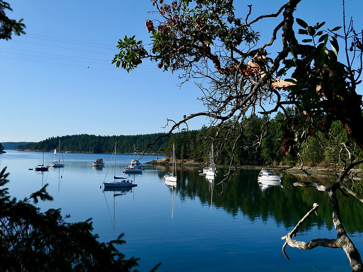 Montague Harbour Marine Provincial Campground | Galiano Island | cycling south Gulf Islands