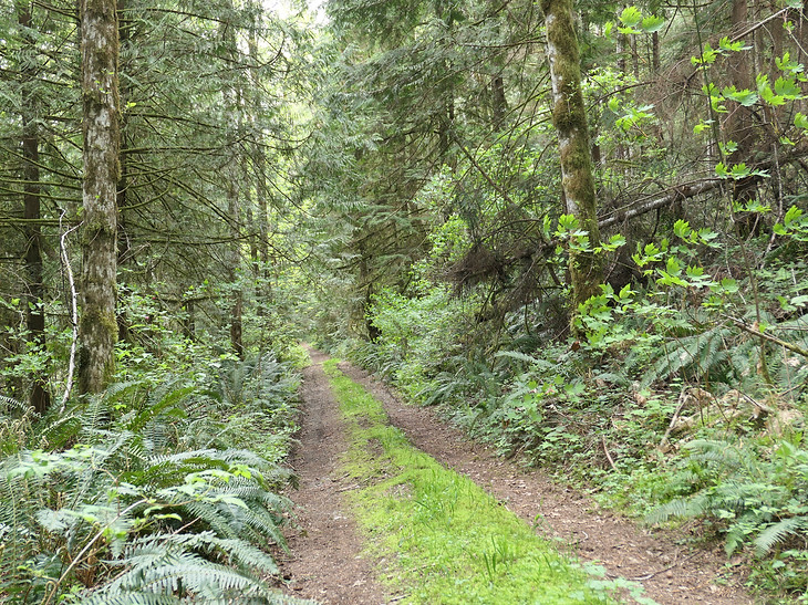 Bliss Portage | bikepacking Malaspina Peninsula