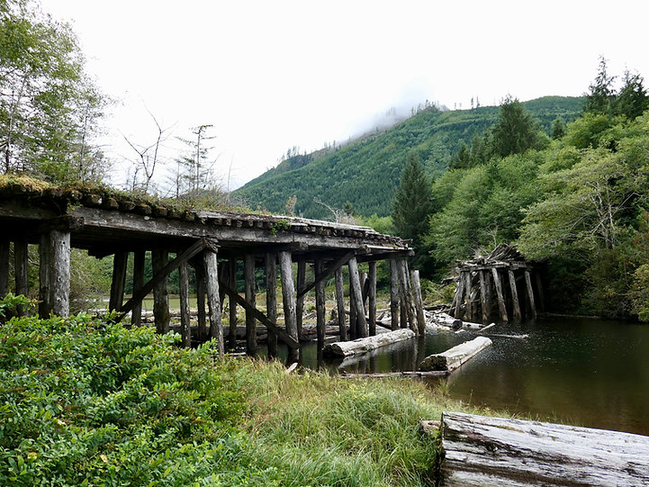 O'Connell Lake Rec Camp | near Mahatta River & Side Bay | bikepacking north Vancouver Island