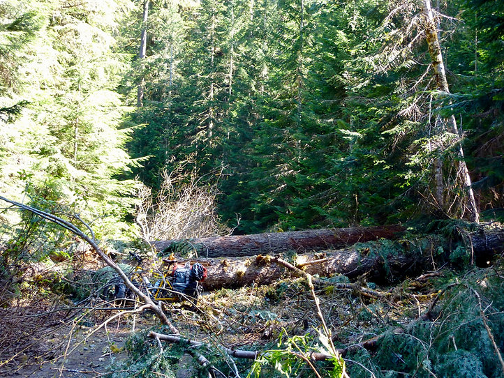 Blocked backroad NE from Oshinow Lake | near June Lake in Strathcona Park | bikepacking Port Alberni to Courtenay