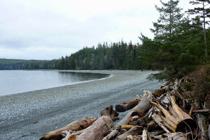 Bere Point Regional Campground | north Malcolm Island | cycle touring north Vancouver Island