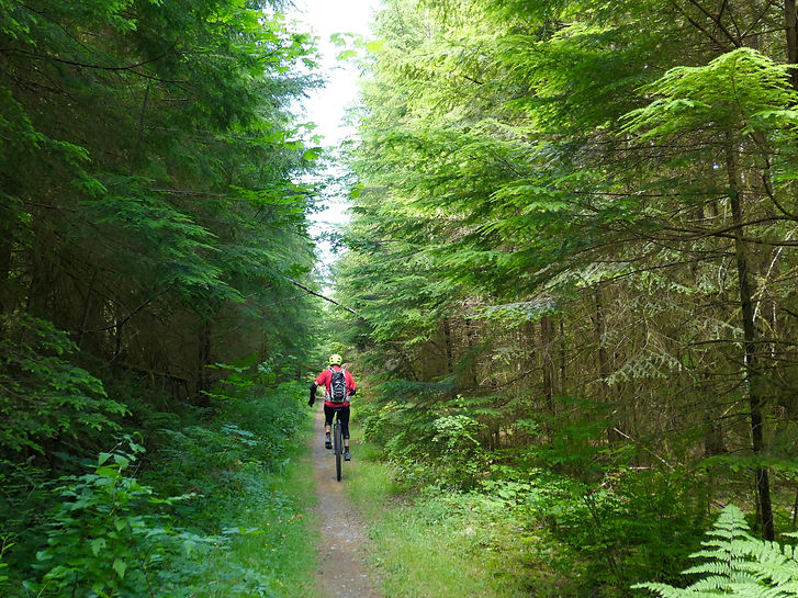 Unicyclist | Cowichan Valley Trail | cycle touring south Vancouver Island