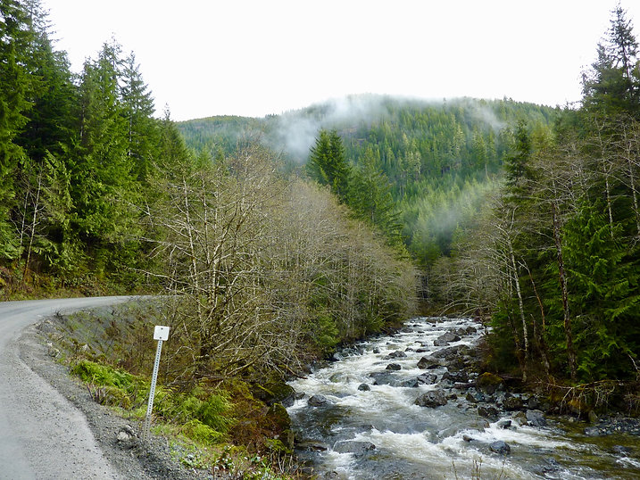 Road to Tahsis along Tupana River | bikepacking Gold River to Tahsis | cycle touring Vancouver Island