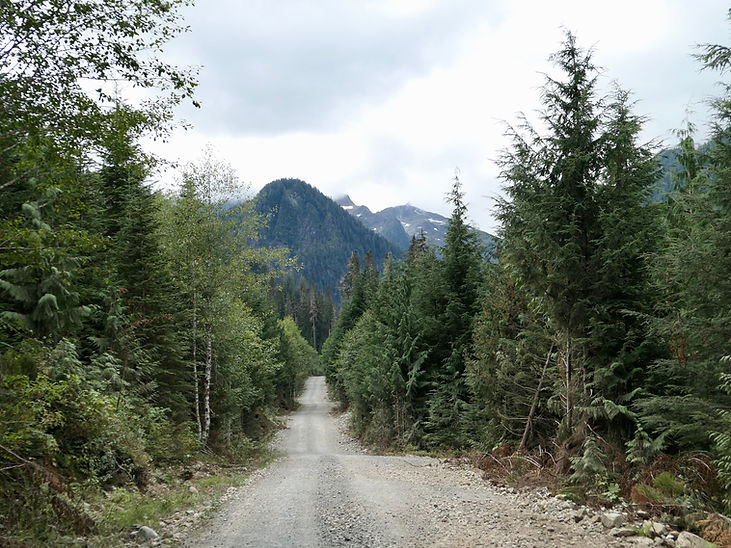 White River Main | Sayward to Gold River | bikepacking north Vancouver Island