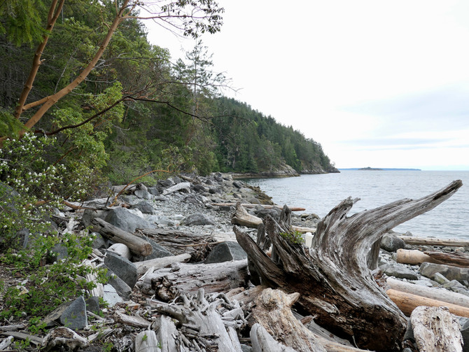 Sarah Point & the Sunshine Coast Trailhead