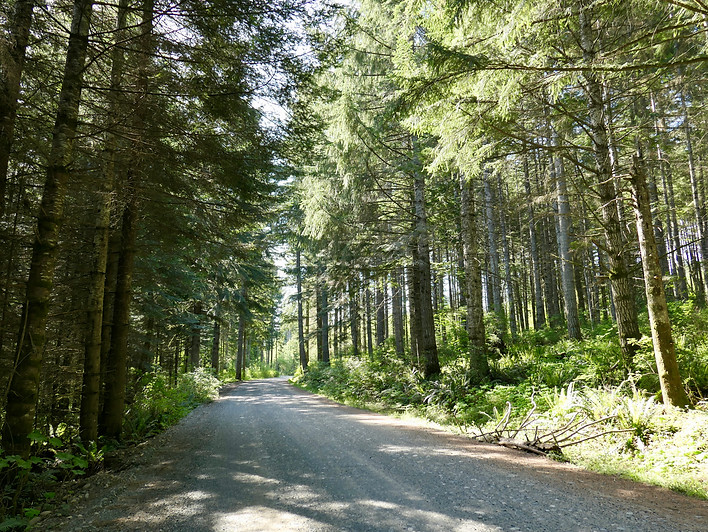 Bikepacking Cook Horne Bowser FSR | bikepacking Horne Lake