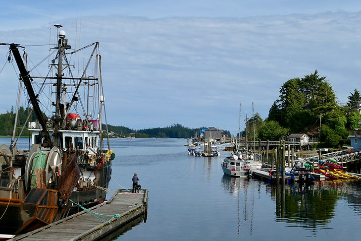 Ucluelet harbour | cycling Port Alberni to Ucluelet | cycle touring Vancouve Island