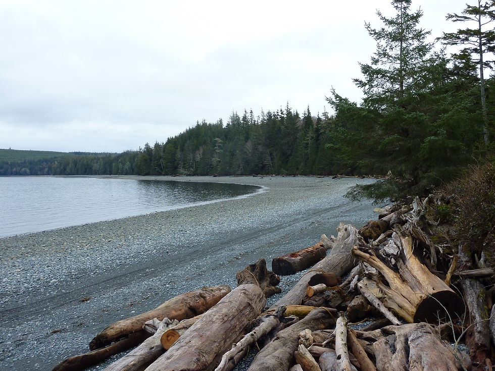 Fabulous bay at Bere Point Campground