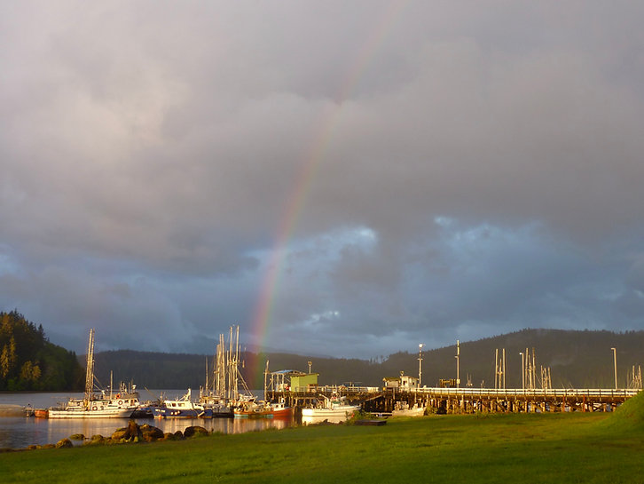 camping beside Coal Harbour Marina | bikepacking north Vancouver Island