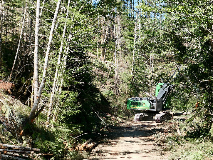 Active logging Old Port Renfrew Road | bikepacking south of Cowichan Lake