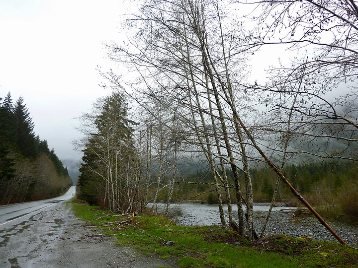 Highway 28 alongside Elk River | cycle touring to Gold River | cycle touring Strathcona Park