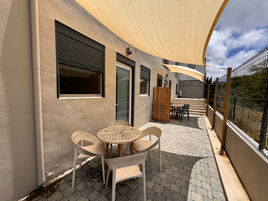 Terras Jungle